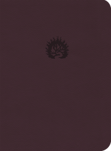 Load image into Gallery viewer, La Biblia de Estudio de La Reforma, Spanish Edition