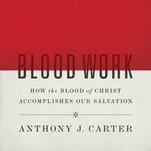 Load image into Gallery viewer, Blood Work