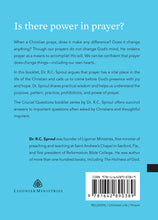 Load image into Gallery viewer, Does Prayer Change Things? — Paperback