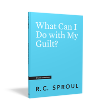 Load image into Gallery viewer, What Can I Do with My Guilt?