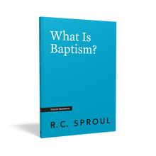Load image into Gallery viewer, What Is Baptism?