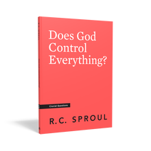 Load image into Gallery viewer, Does God Control Everything? — Paperback