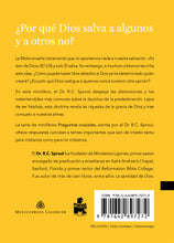 Load image into Gallery viewer, What Is Predestination? — Paperback (Spanish)