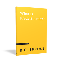 Load image into Gallery viewer, What Is Predestination?