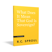 Load image into Gallery viewer, What Does It Mean That God Is Sovereign?