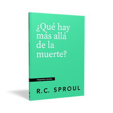 Load image into Gallery viewer, What Comes after This Life? — Paperback (Spanish)
