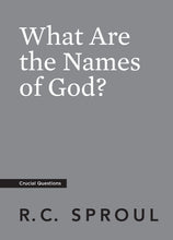 Load image into Gallery viewer, What Are the Names of God? — Paperback