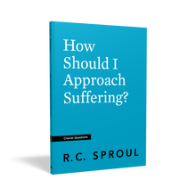 Load image into Gallery viewer, How Should I Approach Suffering?