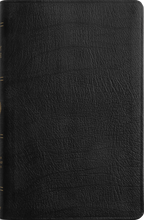 Load image into Gallery viewer, ESV Large Print Thinline Bible