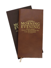 Load image into Gallery viewer, Morning and Evening