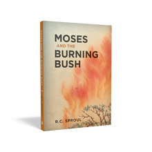 Load image into Gallery viewer, Moses and the Burning Bush