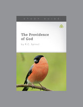 Load image into Gallery viewer, The Providence of God
