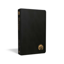 Load image into Gallery viewer, ESV Reformation Study Bible, Condensed Edition
