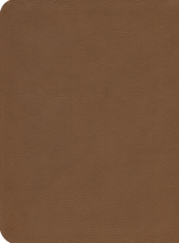 Load image into Gallery viewer, ESV Reformation Study Bible — Leather-Like Light Brown