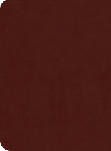 Load image into Gallery viewer, ESV Reformation Study Bible — Leather-Like Brick Red