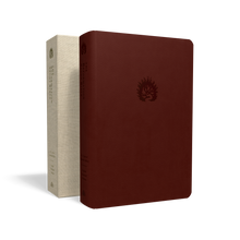 Load image into Gallery viewer, ESV Reformation Study Bible — Leather-Like Brick Red