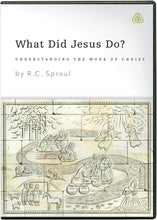 Load image into Gallery viewer, What Did Jesus Do?