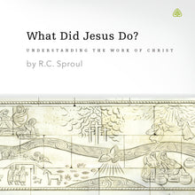Load image into Gallery viewer, What Did Jesus Do?