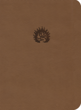 Load image into Gallery viewer, ESV Reformation Study Bible — Leather-Like Light Brown