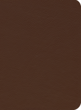 Load image into Gallery viewer, ESV Reformation Study Bible — Premium Leather Brown