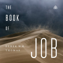 Load image into Gallery viewer, The Book of Job
