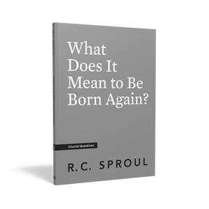 What Does It Mean to Be Born Again? — Paperback