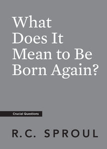 What Does It Mean to Be Born Again? — Paperback