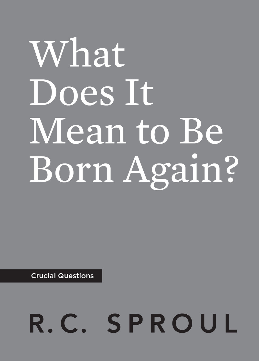 What Does It Mean to Be Born Again? — Paperback