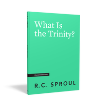 Load image into Gallery viewer, What Is the Trinity?

