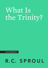 Load image into Gallery viewer, What Is the Trinity? — Paperback
