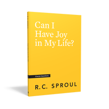 Load image into Gallery viewer, Can I Have Joy in My Life? — Paperback
