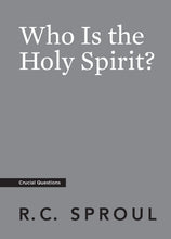Load image into Gallery viewer, Who Is the Holy Spirit?
