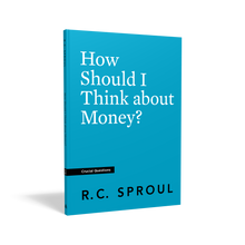 Load image into Gallery viewer, How Should I Think about Money?
