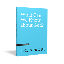 Load image into Gallery viewer, What Can We Know about God?

