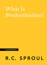 Load image into Gallery viewer, What Is Predestination?
