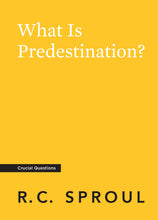 Load image into Gallery viewer, What Is Predestination?
