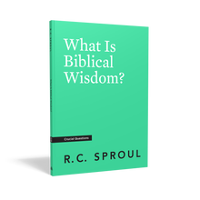 Load image into Gallery viewer, What Is Biblical Wisdom? — Paperback
