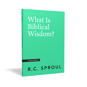 What Is Biblical Wisdom? — Paperback