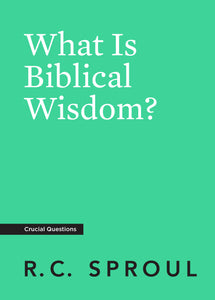What Is Biblical Wisdom? — Paperback