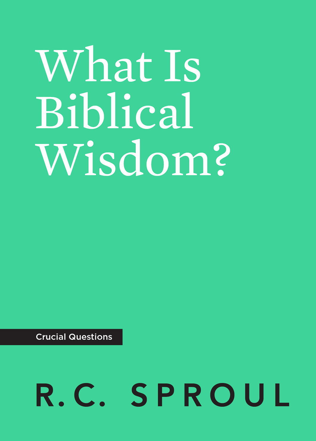 What Is Biblical Wisdom? — Paperback