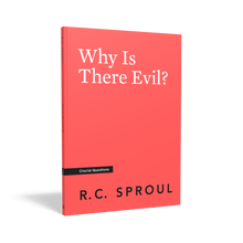 Load image into Gallery viewer, Why Is There Evil? — Paperback
