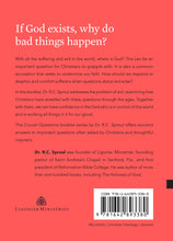 Load image into Gallery viewer, Why Is There Evil? — Paperback
