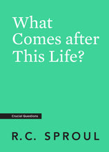Load image into Gallery viewer, What Comes after This Life?
