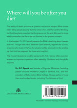 Load image into Gallery viewer, What Comes after This Life? — Paperback
