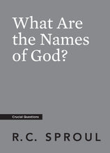 Load image into Gallery viewer, What Are the Names of God?
