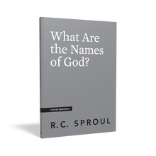 Load image into Gallery viewer, What Are the Names of God? — Paperback
