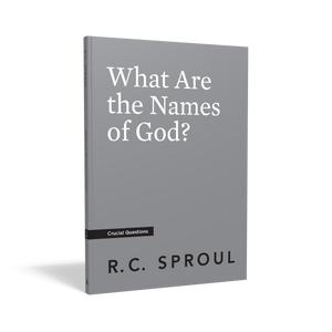 What Are the Names of God? — Paperback