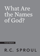 Load image into Gallery viewer, What Are the Names of God? — Paperback
