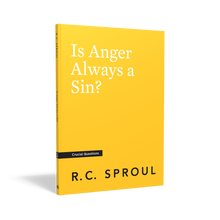 Load image into Gallery viewer, Is Anger Always a Sin?
