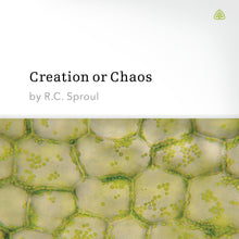 Load image into Gallery viewer, Creation or Chaos
